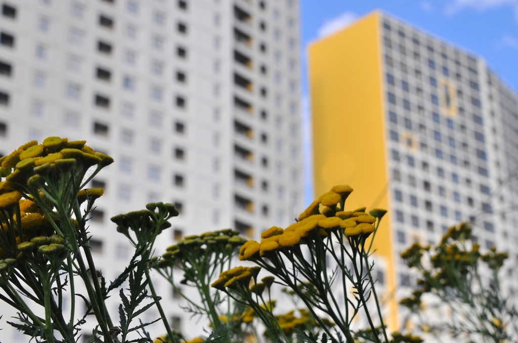 Преимущества нескольких кварталов