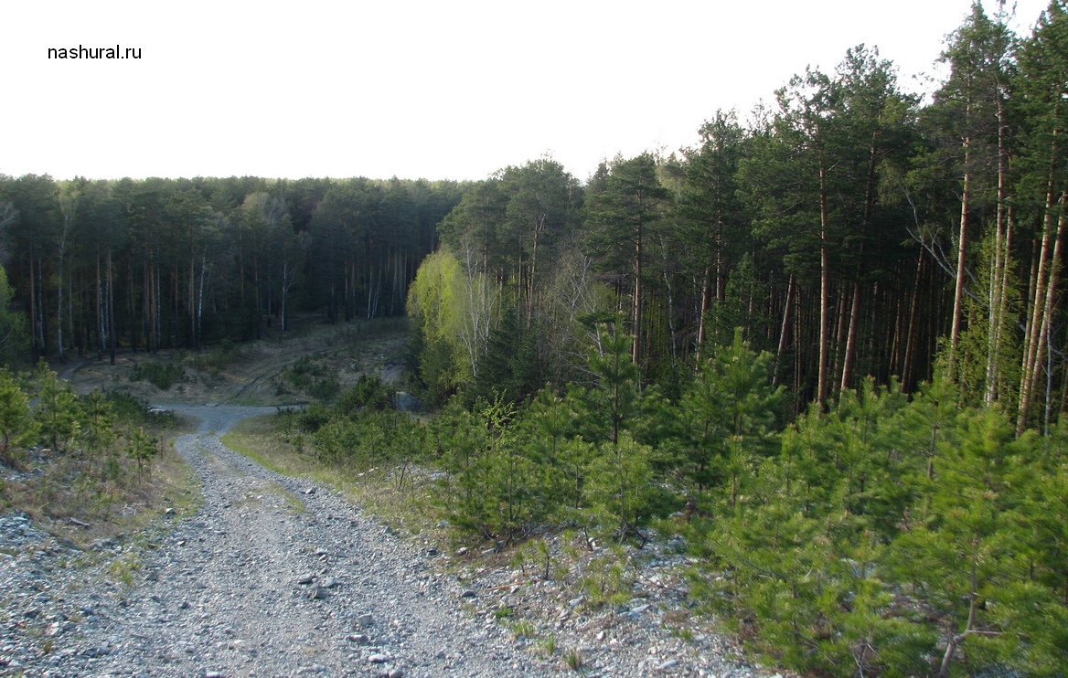 Рядом большой Калиновский лесопарк