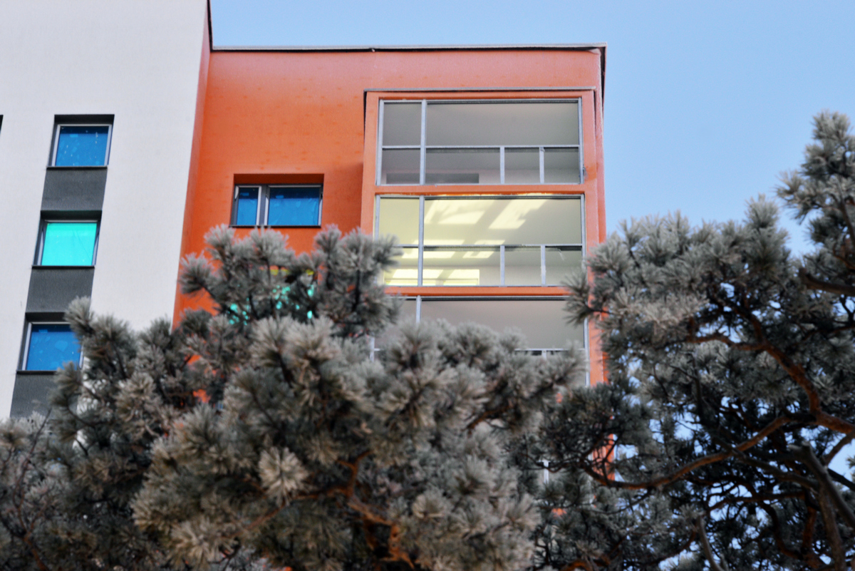 Вид на лесопарковую зону