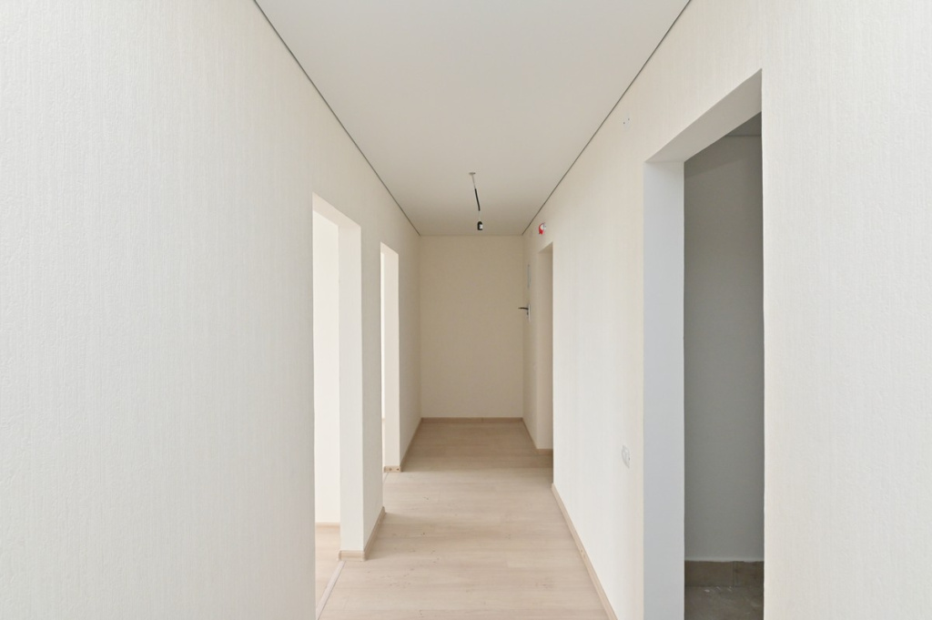 DSC_8808.jpg DSC_8808.jpg