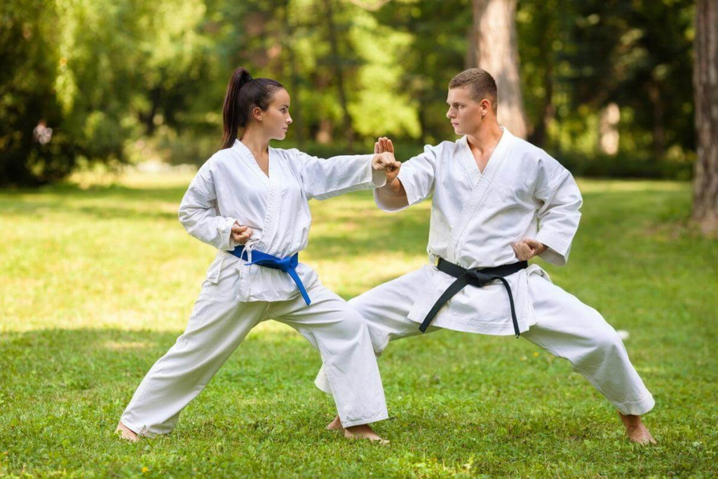 vostocnye_edinobrostva._foto_s_sajtataekwondo_pro.ru.jpg